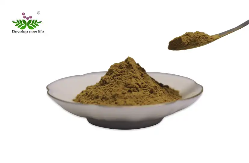 Best Rosemary Extract